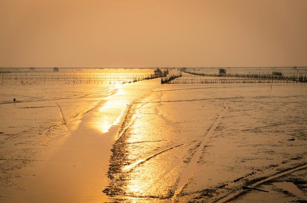 Découverte de la champagne en caterham : une excursion inoubliable