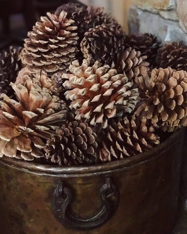 Comment trouver des séances de cinéma en plein air gratuites sur les plages méditerranéennes ?
